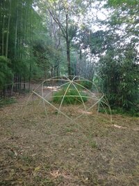 Visite de l'arboretum à Espartignac