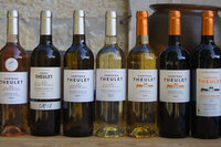 Visite et dégustation de 7 vins - 10h | Vignobles Alard à Monbazillac