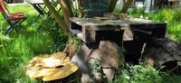 Visite d'un jardin urbain en permaculture d'une Oasis à Le Chesnay-Rocquencourt