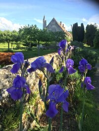 Visite guidée de l'abbaye à La Hoguette