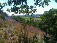 Les légendes de Suisse normande à Le Vey