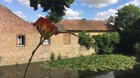 Exposition : La Cité des oiseaux d'Olivier Thuault à Illiers-Combray