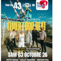 ELMER FOOD BEAT + LES GA'COUSTIQUES à Meisenthal
