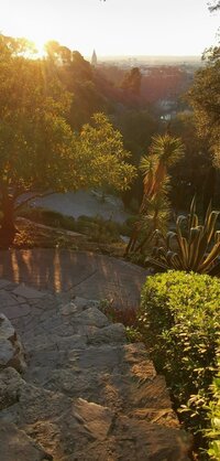 Visite commentée : la biodiversité à fleur de peau à Nîmes