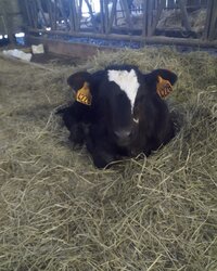 Visite à la ferme de Saint-Juan à Saint-Juan