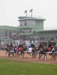 Courses hippiques à Graignes-Mesnil-Angot