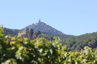 Rando et p'tit déj' au Haut-Koenigsbourg à Orschwiller