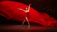 Le Temps d'Aimer la Danse - Lucia Lacarra Ballet - Lost Letters à Biarritz