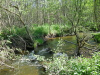 Les Fossottes, entre nature et patrimoine à La Salle