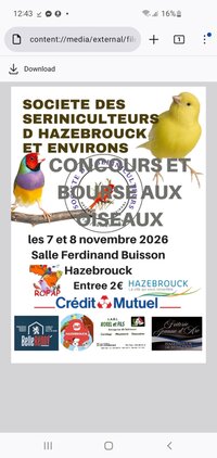 Exposition d'oiseaux à Hazebrouck
