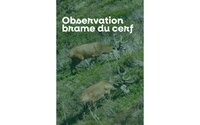 Sortie nature à l'écoute du brame du cerf à Larrau