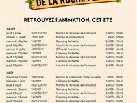 SOS RUCHE - A la recherche de la ruche perdue à Basse-sur-le-Rupt
