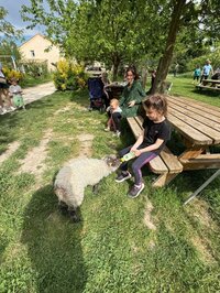 Découverte du mas de la Gallinière : visite de la ferme et atelier fabrication d à Roquemaure