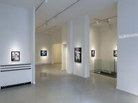 Exposition de Matthieu Ricard, Vol commercial - Galerie Françoise Livinec à Paris 8e
