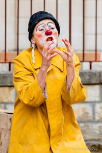STAGE CLOWN ADULTES à Nébian
