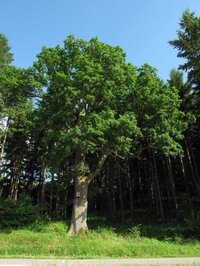 Exposition de photographies sur le patrimoine naturel à Appeville-Annebault