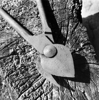 Exposition La Gascogne de Daniel Maigné : une sélection de photographies issue d à Toujouse