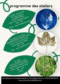 Empreintes végétales à Crozant