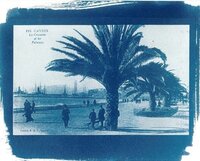 Atelier cyanotype : découverte et pratique d'une ancienne technique photographiq à Cannes