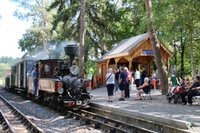Parcours en train à vapeur avec visite du dépôt (matériels roulants et expositio à Avrillé-les-Ponceaux