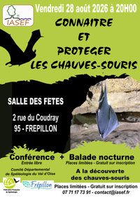 A la découverte des chauves-souris à Évreux