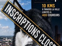 Entre chien et loups à Val de Briey