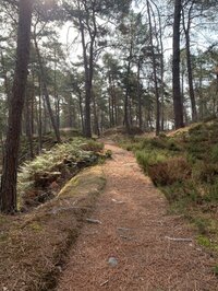 Rando 1/2 journée à Servon
