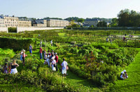 Visite guidée thématique : Un jardin de transmission depuis l'origine à Versailles