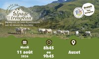 04 - Journée en alpage dans la Vallée de la Blanche à Auzet
