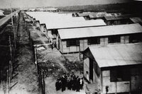 Visite commentée des vestiges du camp d'internement de nomades de Montreuil-Bell à Montreuil-Bellay