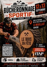 Maillat, le bois en fete à Maillat
