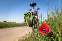 Rando cyclo 87 à Oradour-sur-Glane