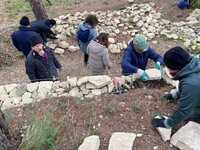 Initiation pierre sèche : apprendre à construire un muret traditionnel à Saumane-de-Vaucluse