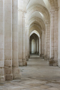 Visite de l'abbaye de Pontigny à Pontigny