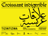 Exposition : « Croissant Indigerible / علاقات عرنسية » du Collectif Tizintizwa à Angoulême