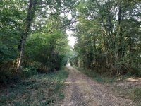 Randonnée « Par nos chemins » à Mouterre-Silly