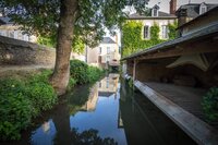Visite commentée : les lavoirs au fil de l'eau à Moncontour