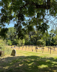 Visite du cimetière historique de l'établissement de psychiatrie - Mayenne à Mayenne