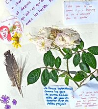 La promenade de la Martine à Marseille 15e