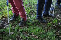 Bocage en baskets à Percy-en-Normandie
