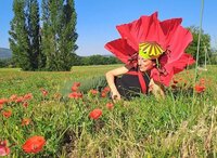 Dans l’univers de Fanny Pageaud à Toulouse