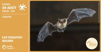 Les chauves-souris à Crespin