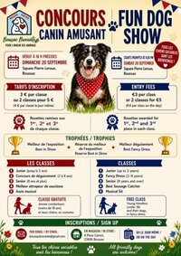 Concours canin amusant à Boussac