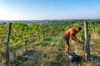 Atelier dégustation : Vallée de la Garonne et affluents à Périgueux