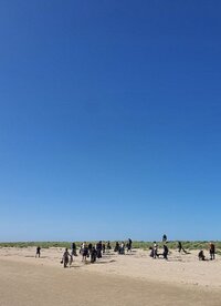 Ramassage des déchets sur le littoral de la Réserve de Beauguillot à Sainte-Marie-du-Mont