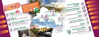 Balades Vigneronnes en Provence à Auriol