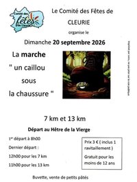Marche Un caillou sous la chaussure à Cleurie
