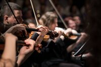 Musics for a while à Avignon