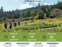 Les petites bébettes du jardin d'chez 'Sauvages' à Cornimont