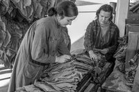 Journée du matrimoine à La Traverse | Les ouvrières du tabac à Bergerac